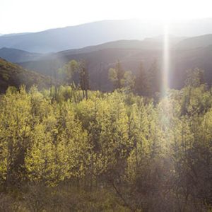 Luminous, Aspen